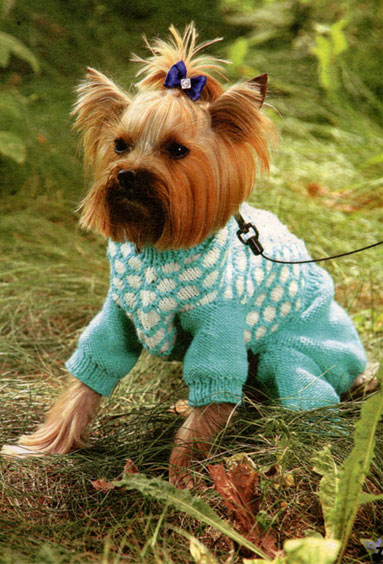 Вязание свитера для собаки